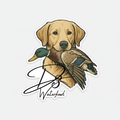Golden Retriever with Duck Sticker